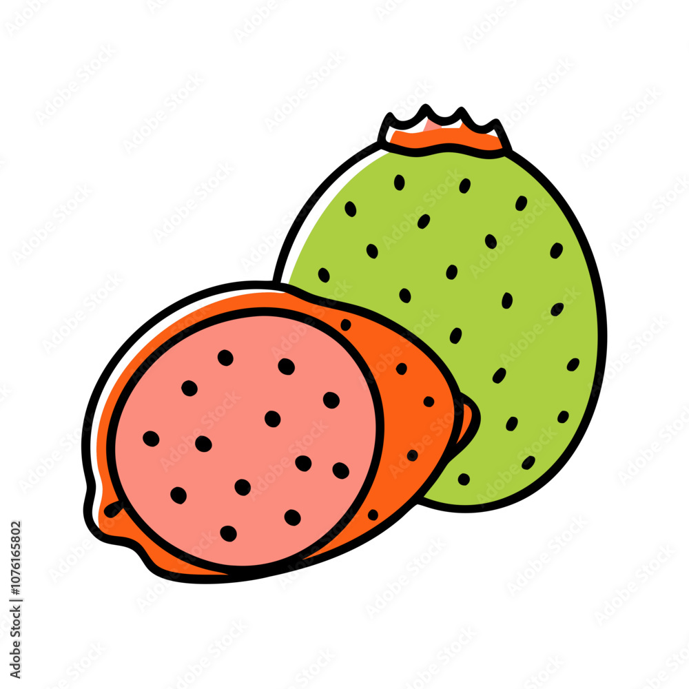 prickly pear illustration prickly pear illustration