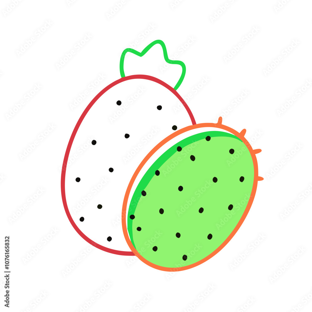 prickly pear illustration prickly pear illustration