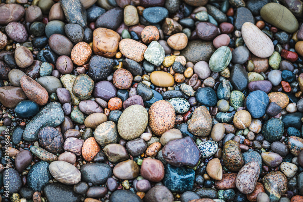 Vibrant Pebbles Along Bay of Fundy Shore Vibrant Pebbles Along Bay of Fundy Shore