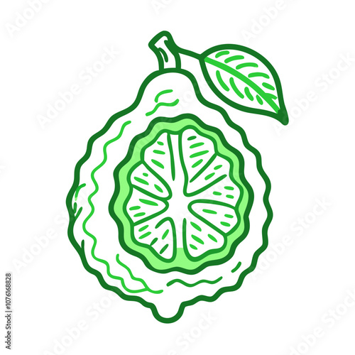 kaffir lime icon, fruits vector icon - simple vector illustration of a kaffir lime, in a simple and clean style, suitable for food and health themes. fruits flat illustration.