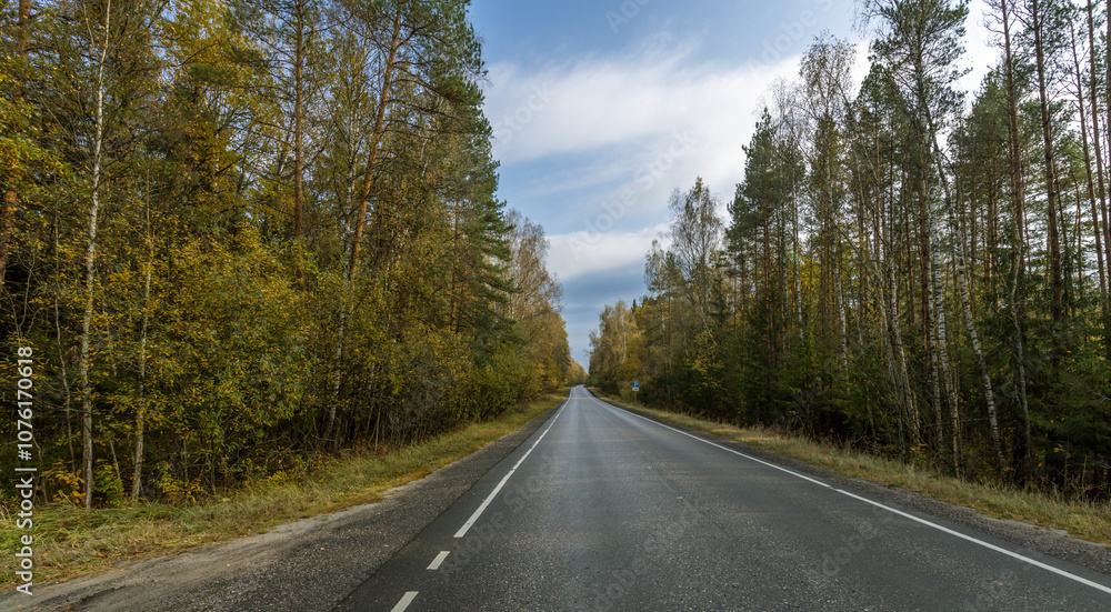 Naklejka premium A road with trees on both sides and a clear blue sky