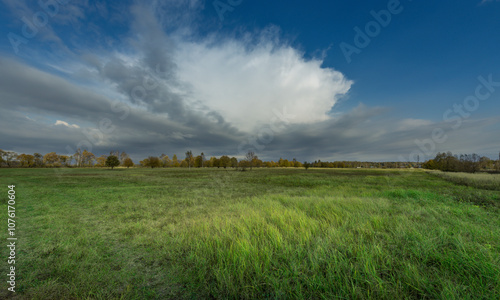 Wallpaper Mural A large cloud is in the sky over a field of grass Torontodigital.ca