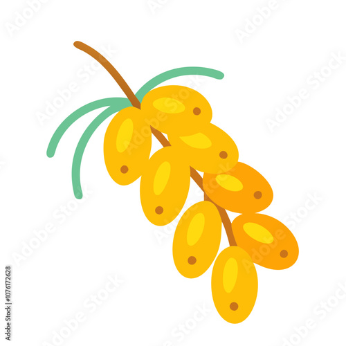 sea buckthorn icon, fruits vector icon - simple vector illustration of a sea buckthorn, in a simple and clean style, suitable for food and health themes. fruits flat illustration.