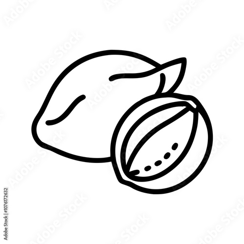 sapodilla icon, fruits vector icon - simple vector illustration of a sapodilla, in a simple and clean style, suitable for food and health themes. fruits flat illustration.