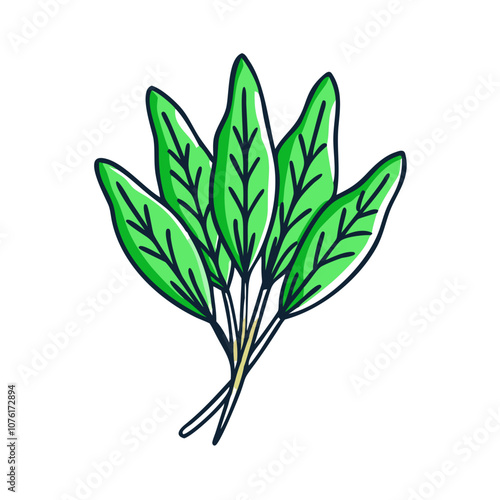 sorrel icon, fruits vector icon - simple vector illustration of a sorrel, in a simple and clean style, suitable for food and health themes. fruits flat illustration.