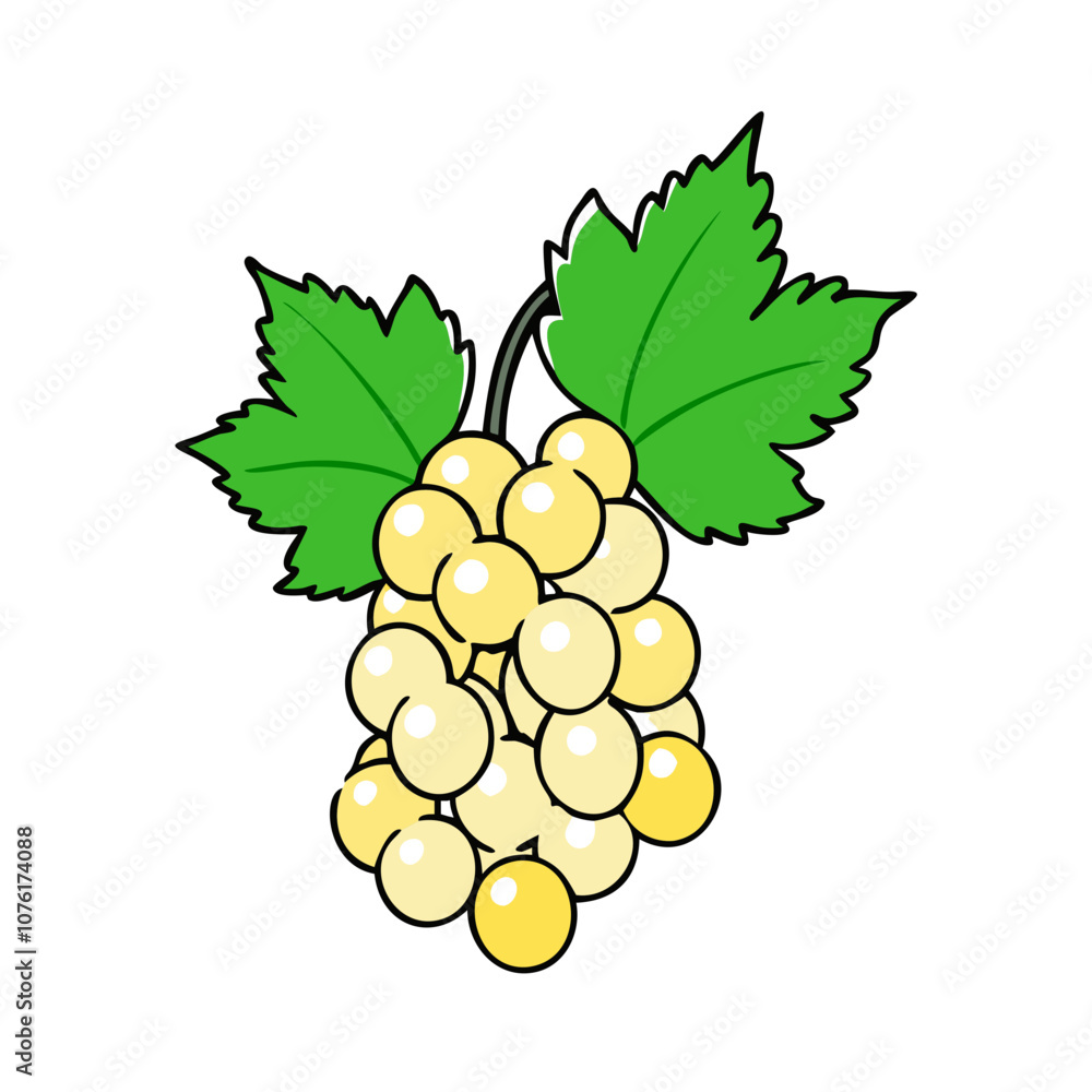 Fototapeta premium whitecurrant icon, fruits vector icon - simple vector illustration of a whitecurrant, in a simple and clean style, suitable for food and health themes. fruits flat illustration.