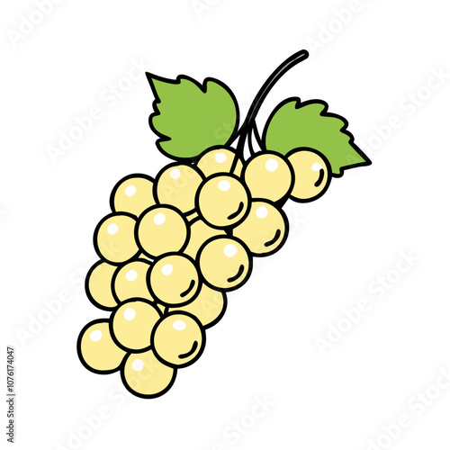 whitecurrant icon, fruits vector icon - simple vector illustration of a whitecurrant, in a simple and clean style, suitable for food and health themes. fruits flat illustration.