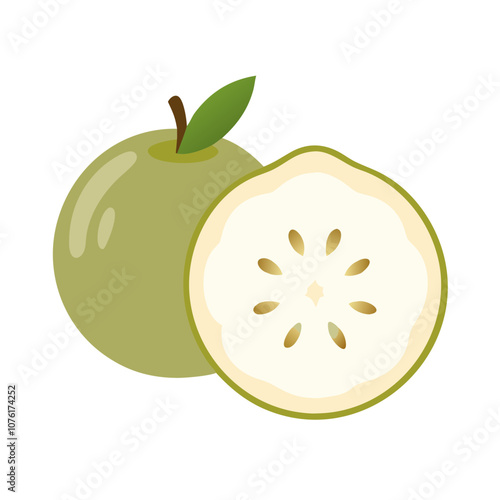 white sapote icon, fruits vector icon - simple vector illustration of a white sapote, in a simple and clean style, suitable for food and health themes. fruits flat illustration.