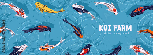 Design of web banner with top view of Koi in blue quiet water. Template of background with decorative Japanese carps in pond. Oriental, Asian fishes swim in lake on layout. Flat vector illustration