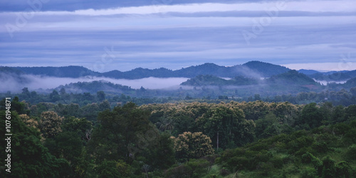 Greenery rainforest and hills on foggy day before sunrise