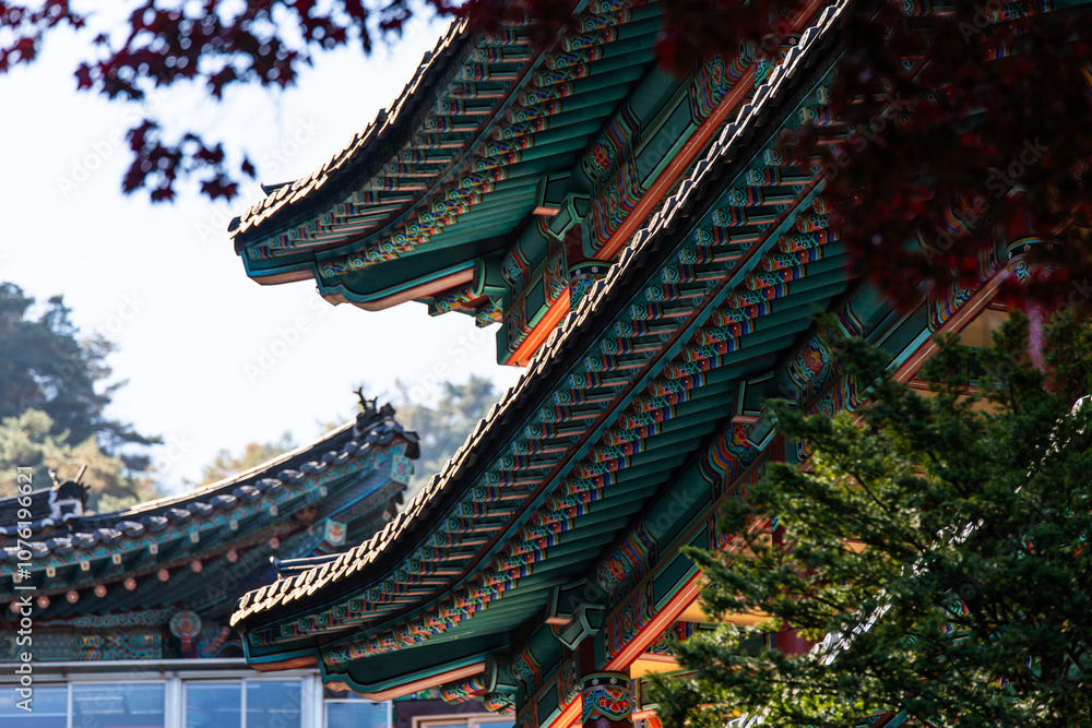painted eaves of the traditional Korean building in the Buddhist temple building painted eaves of the traditional Korean building in the Buddhist temple building