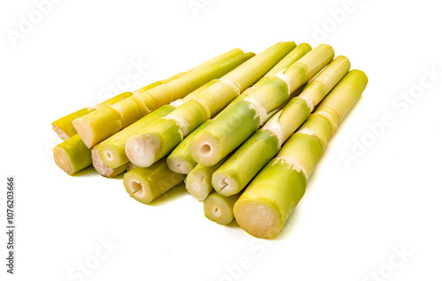fresh bamboo shoots on white background
