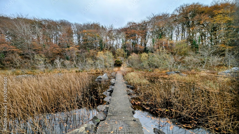 Beautiful autumn winter lakeside landscape scenery, fishing dock at Ross lake, county Galway, Ireland, nature background