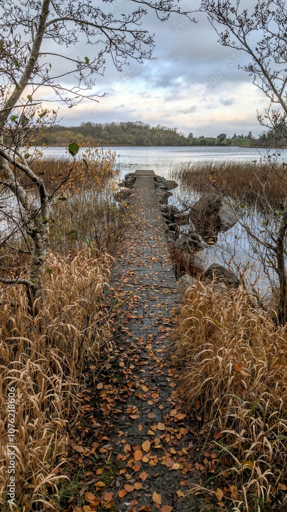 Beautiful autumn winter lakeside landscape scenery, fishing dock at Ross lake, county Galway, Ireland, nature background