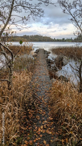 Obraz na płótnie Beautiful autumn winter lakeside landscape scenery, fishing dock at Ross lake, county Galway, Ireland, nature background w salonie