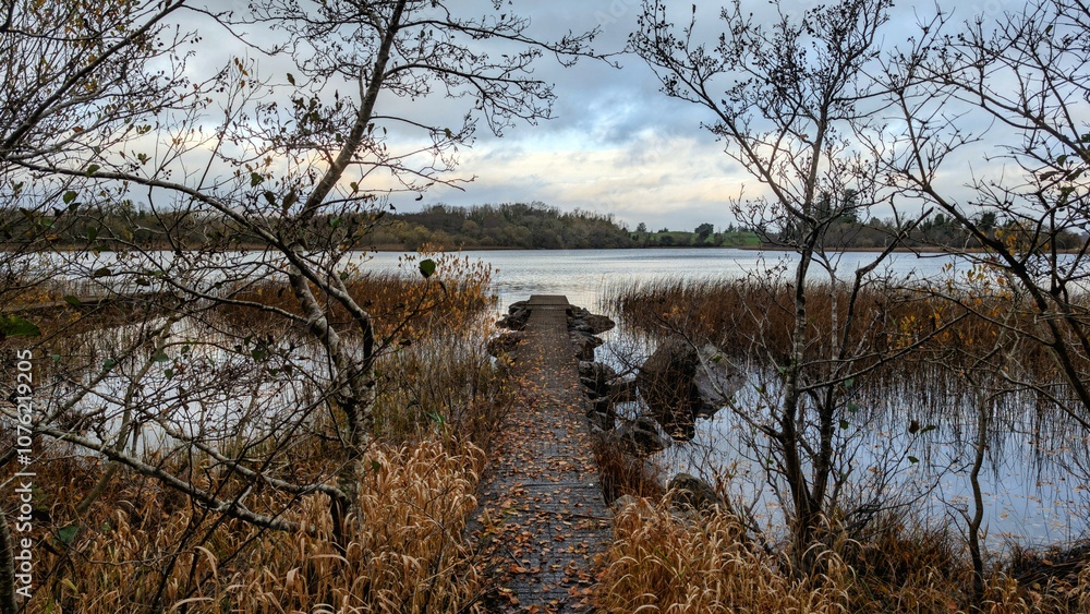 Beautiful autumn winter lakeside landscape scenery, fishing dock at Ross lake, county Galway, Ireland, nature background