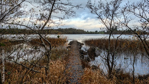Obraz na płótnie Beautiful autumn winter lakeside landscape scenery, fishing dock at Ross lake, county Galway, Ireland, nature background w salonie