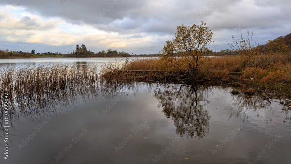 Beautiful autumn winter lakeside landscape scenery, fishing dock at Ross lake, county Galway, Ireland, nature background Beautiful autumn winter lakeside landscape scenery, fishing dock at Ross lake, county Galway, Ireland, nature background