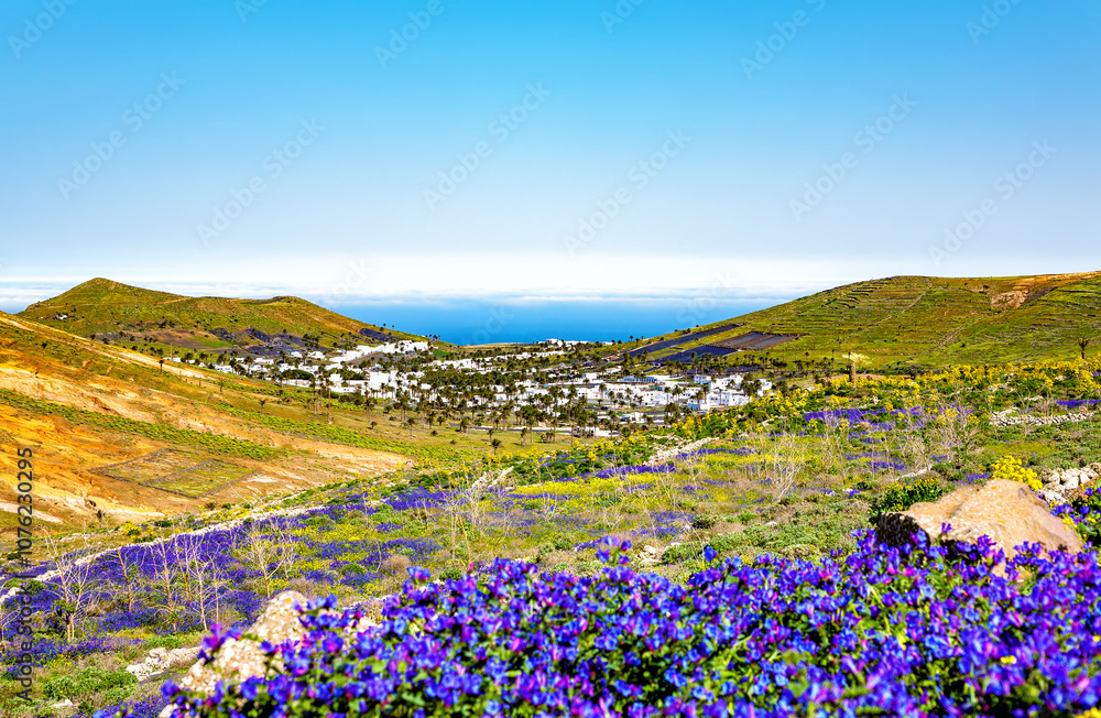 Obraz premium Town Haria, Island Lanzarote, Canary Islands, Spain, Europe.