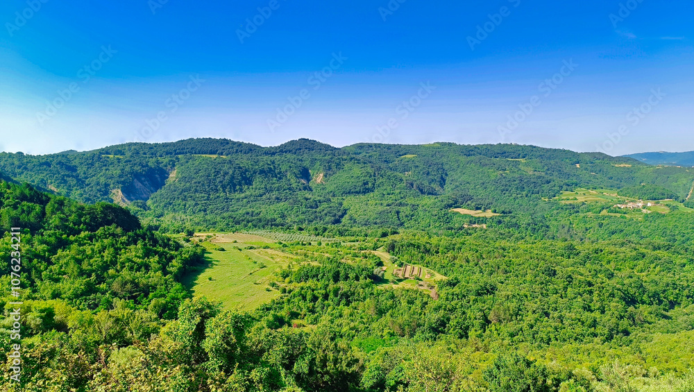 Typical Istrian Landscape