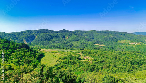 Typical Istrian Landscape photo