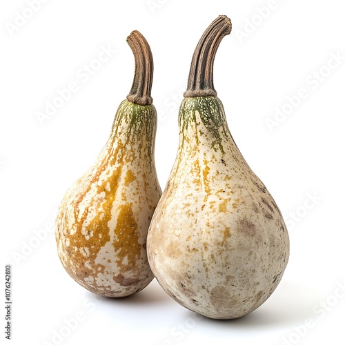 Bottle gourd isolated on a white background, close up photo