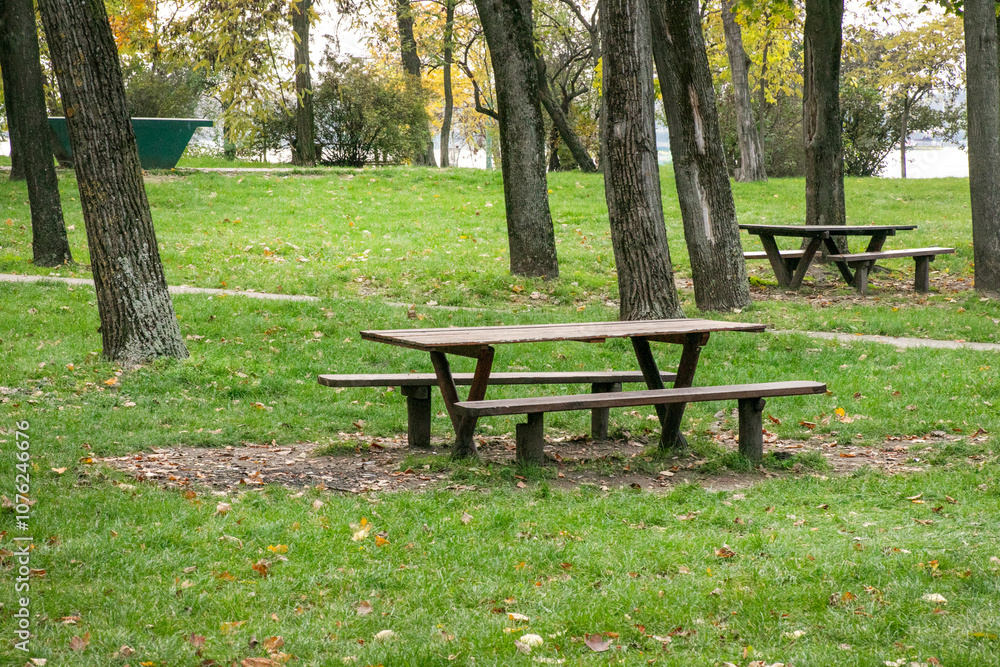 An empty picnic table sits quietly in a serene park setting, perfect for enjoying a fall picnic and connecting with nature An empty picnic table sits quietly in a serene park setting, perfect for enjoying a fall picnic and connecting with nature