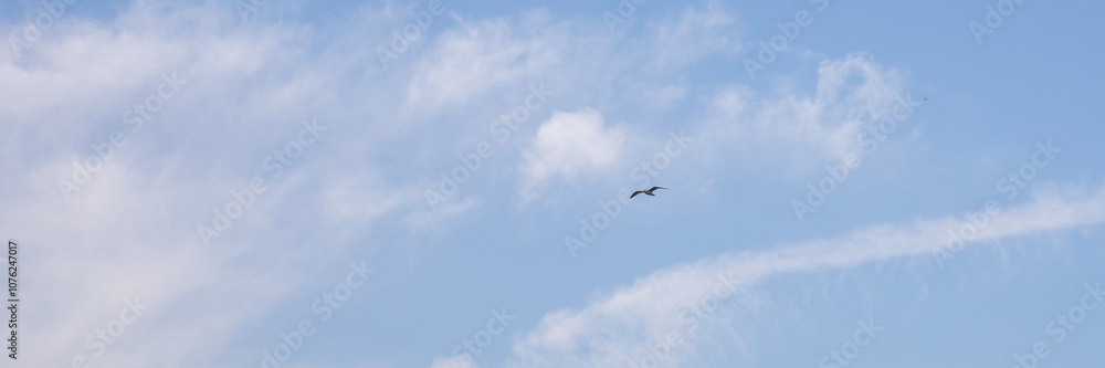 A solitary bird soars against a bright blue sky, evoking concepts of freedom and tranquility perfect for Earth Day A solitary bird soars against a bright blue sky, evoking concepts of freedom and tranquility perfect for Earth Day
