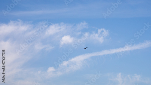 A lone bird soars against a bright blue sky with wispy clouds, symbolizing freedom and tranquility in nature