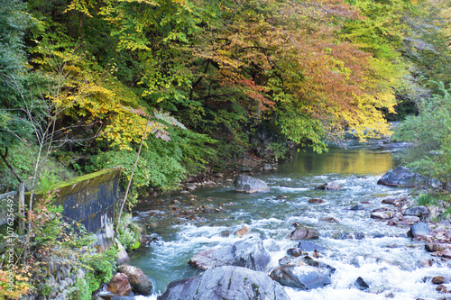 秋の紅葉と四万川2