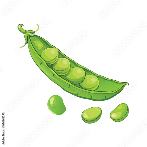 Vector Cartoon Green Peas Pod illustration