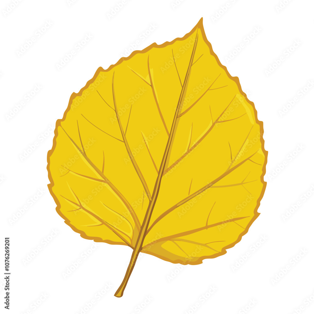 Vector Cartoon Illustration Autumn Fallen Yellow Leaf of Hazel Trees Illustration Vector Cartoon Illustration Autumn Fallen Yellow Leaf of Hazel Trees Illustration