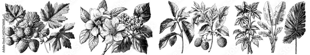 Fototapeta premium Flower collection with floral pattern. Hand-drawn elements and modern illustration.