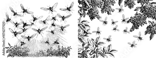 Insect flock in air. Virus and disease spreading medical modern concept. Flying mosquito black silhouette isolated.