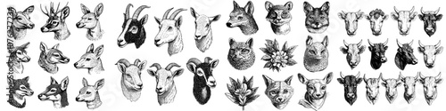 Animal faces for phone video app. Cartoon animals with ears and noses.