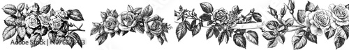 Detailed vintage botanical illustration of roses, leaves, and branches.