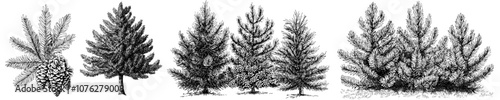 Drawing of a modern evergreen tree silhouette