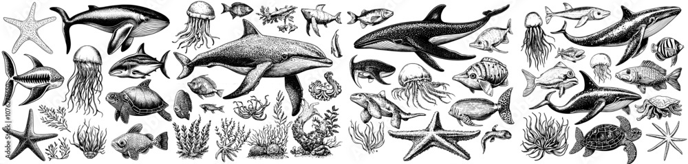 Fishes and animals under the sea. Cartoon marine animals. Dolphins, jellyfish, octopus, turtle, and ramp illustration. Cute sea creatures and sea life. Fishes and animals under the sea. Cartoon marine animals. Dolphins, jellyfish, octopus, turtle, and ramp illustration. Cute sea creatures and sea life.