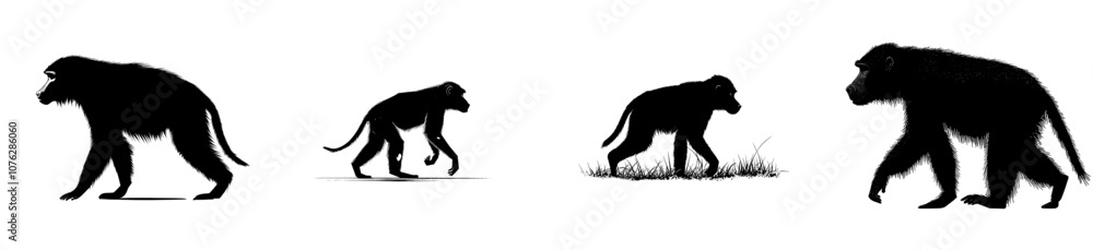 Black silhouette of a wild monkey. Primate symbol. Zoo animal. Black silhouette of a wild monkey. Primate symbol. Zoo animal.