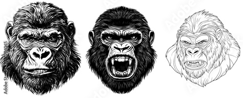 A gorilla head and face icon in modern and svg format