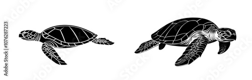 An isolated turtle silhouette against a white background, modern illustration