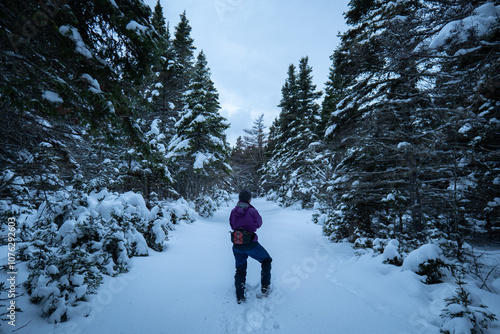 Obraz na płótnie A Woman Dressed in Purple Winter Clothes Walks in with Snowshoes on a Snow-Covered Trail in the Woods of Anticosti Island, Quebec, Canada w salonie