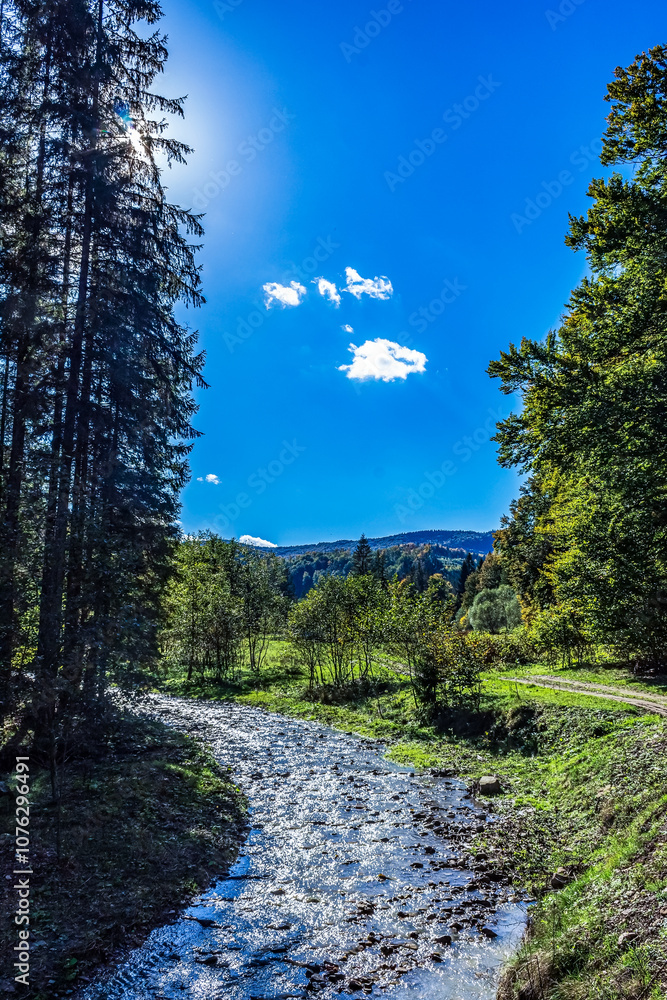 Landscapes - Forest - Europe, Romania, Suceava region Landscapes - Forest - Europe, Romania, Suceava region