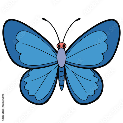 Common Blue butterfly vector illustrations on a white background.