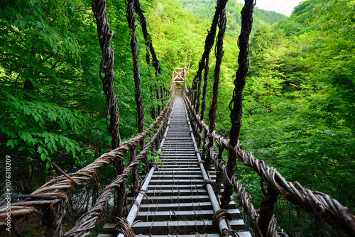 Okuiya Double Kazura Bridge, a handmade kudzu suspension bridge, Tokushima Prefecture, Japan/ 奥祖谷二重かずら橋　手作りの葛の吊り橋　徳島県　日本