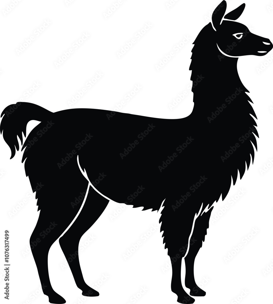 Obraz premium llama silhouette , animal silhouette alpaca Silhouette vector black