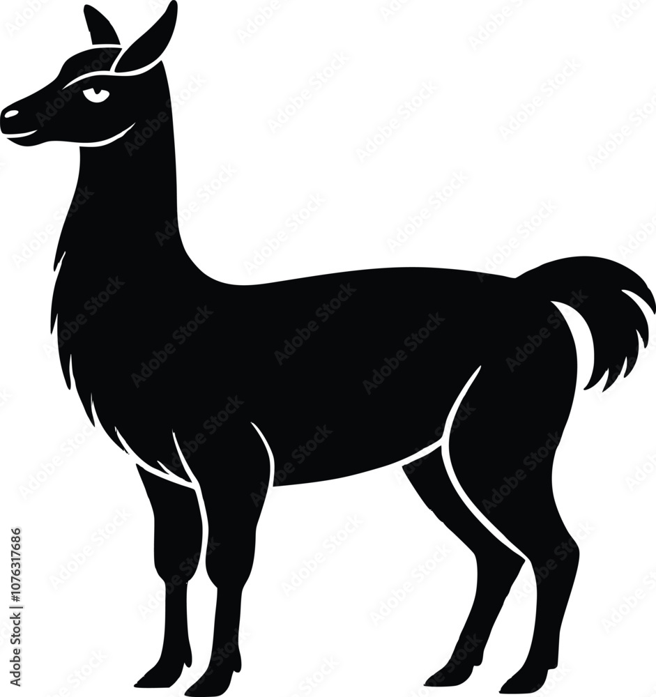 Obraz premium llama silhouette , animal silhouette alpaca Silhouette vector black