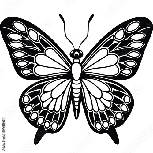 Common Wood Nymph butterfly vector illustrations on a white background.