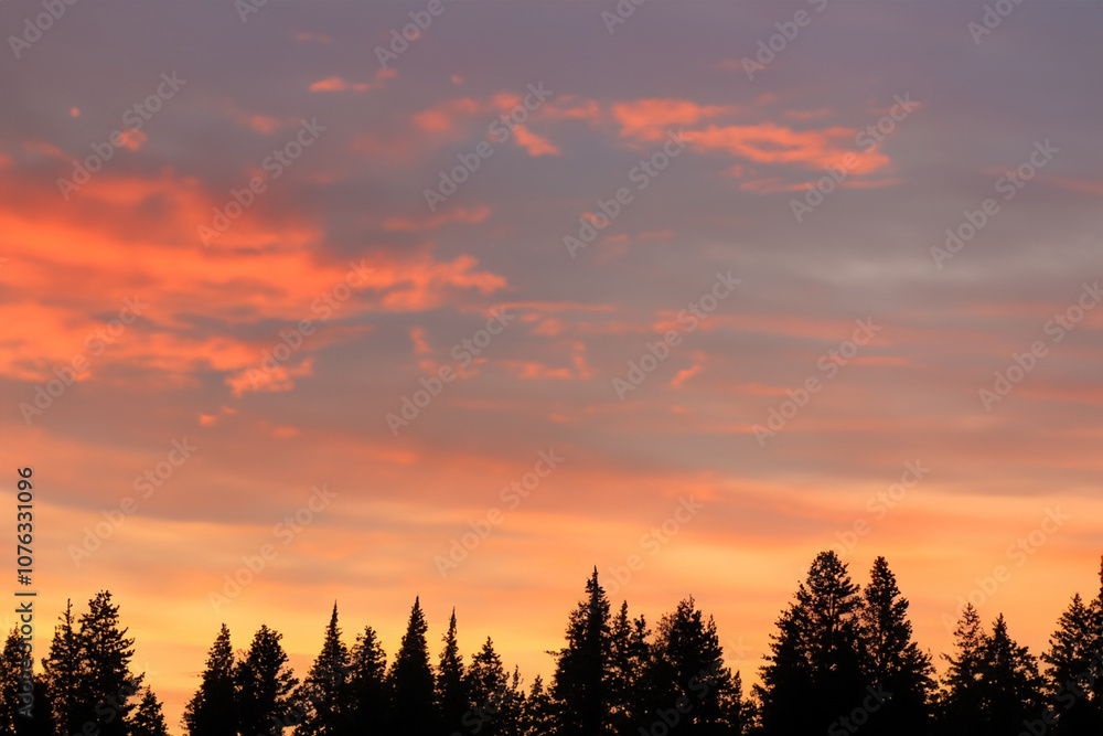 Landscape concept with colorful sunset against blue sky and against forest in the evening. evening summer silhouette concept. landscape concept with colorful sunset against a blue sky and against a. Landscape concept with colorful sunset against blue sky and against forest in the evening. evening summer silhouette concept. landscape concept with colorful sunset against a blue sky and against a.