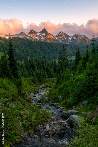 Photography Mt. Rainier National Park, Washington